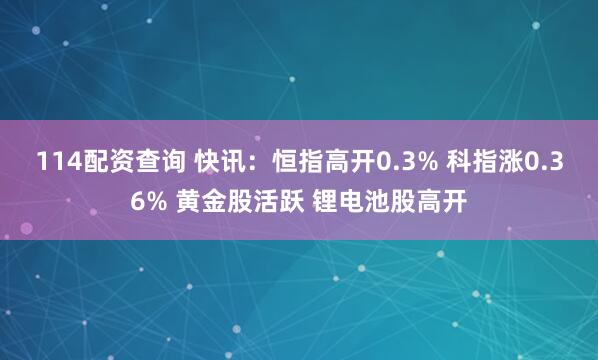 114配资查询 快讯：恒指高开0.3% 科指涨0.36% 黄金股活跃 锂电池股高开