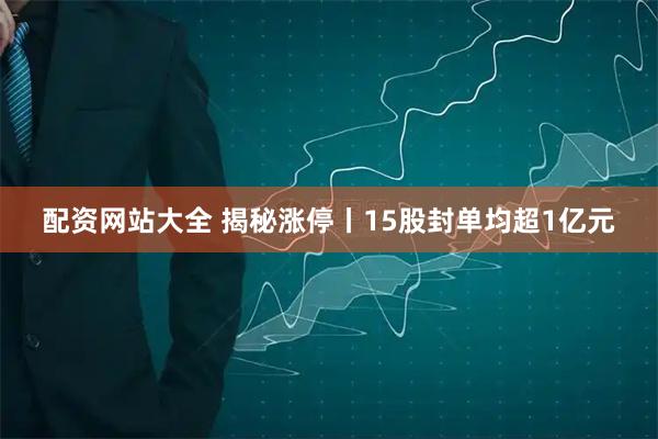 配资网站大全 揭秘涨停丨15股封单均超1亿元