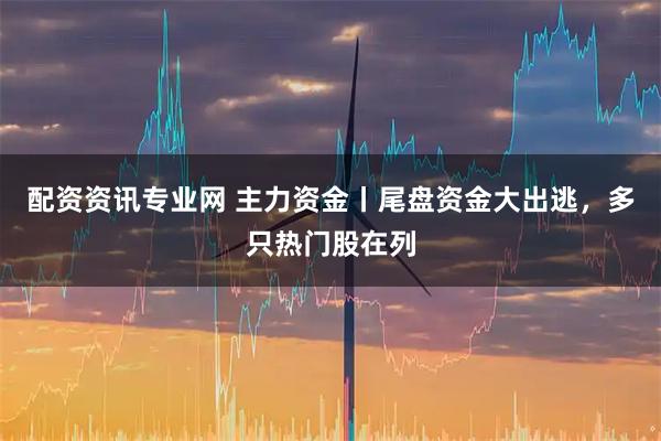配资资讯专业网 主力资金丨尾盘资金大出逃，多只热门股在列